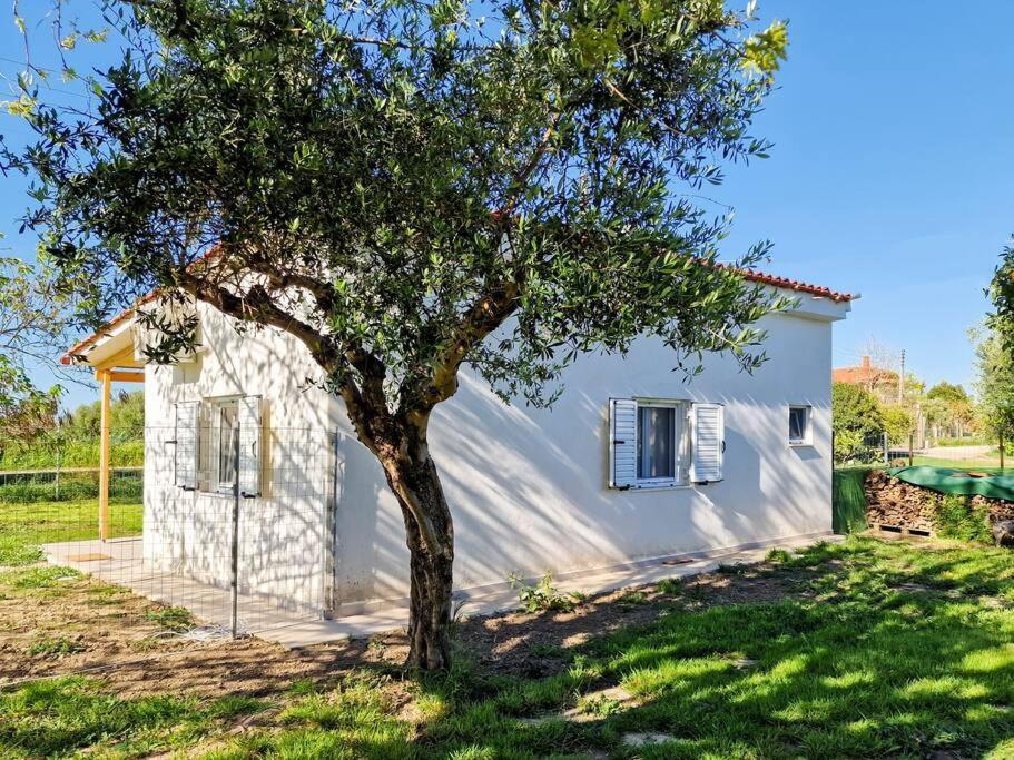 Cozy Owl'S Studio Home Pírgos Esterno foto